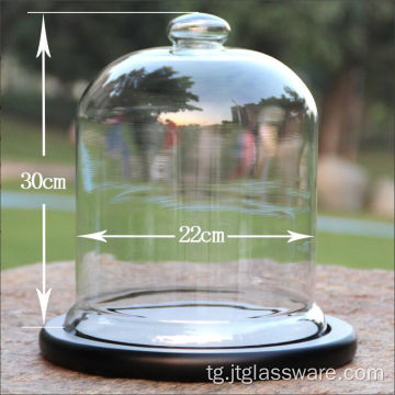 D22 * H 30cm Glass Bell Cloche Барои Намоиши